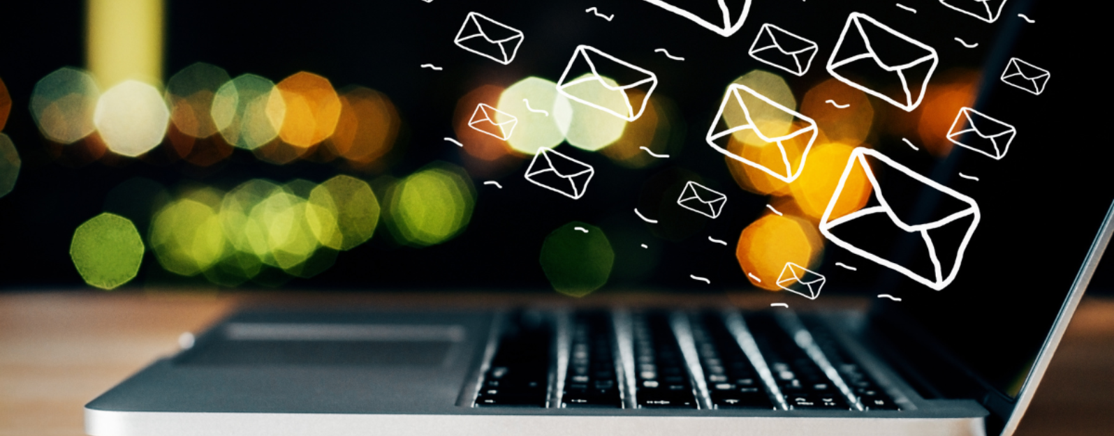 How to Set up a Successful Email Marketing Program to Reach Customers